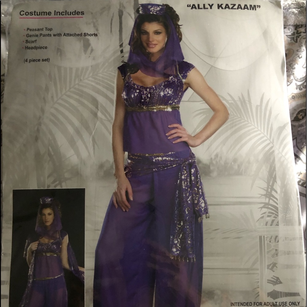 I dream of Genie Halloween Costume